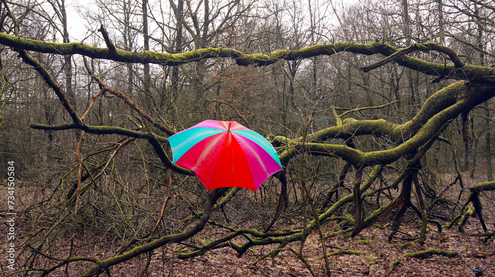 Ein Schnappschuss von einem Wald im Winter, mit buntem Regenschirm	