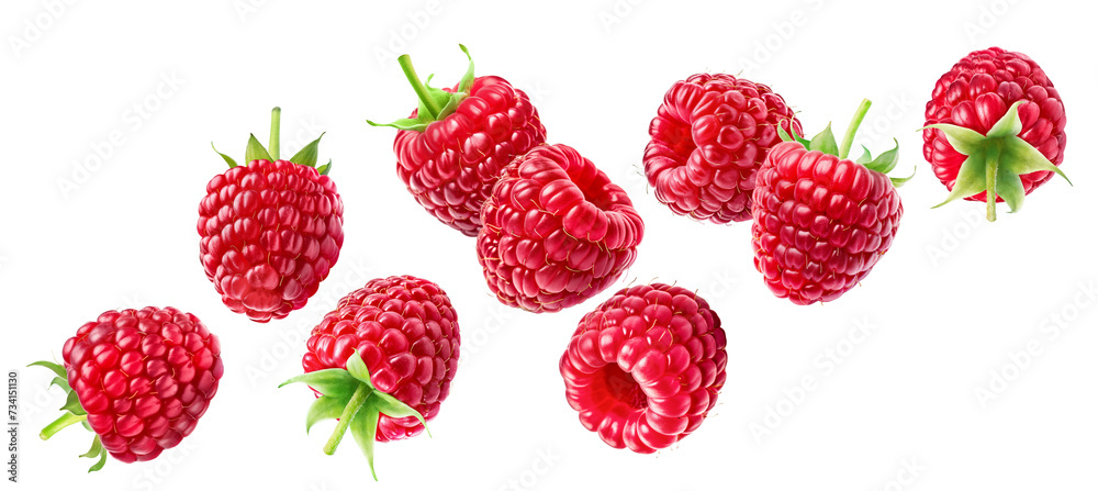 Set of flying ripe raspberries isolated on a white background. Set of flying ripe raspberries isolated on a white background.