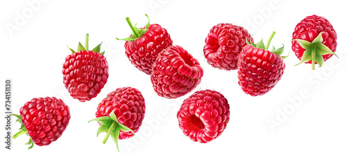 Set of flying ripe raspberries isolated on a white background.
