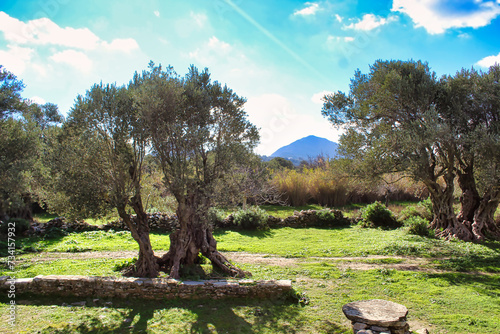 Naxos Island in Greece photo