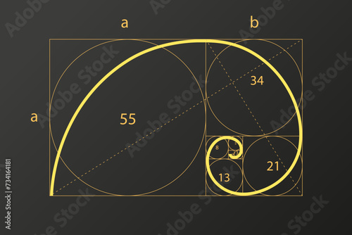 Abstract vector illustration of the proportion of the golden ratio, the pattern of the geometric ratio of figures, the method of the golden section, the Fibonacci numbers.