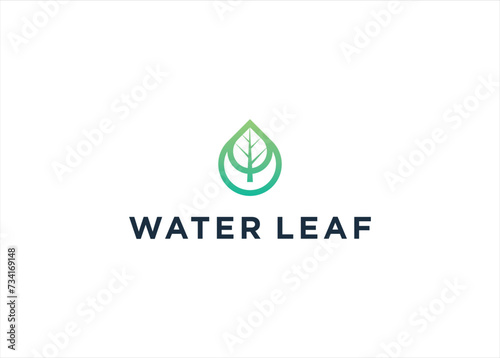 Natural Leaf Water Drop Logo Template Illustration Design