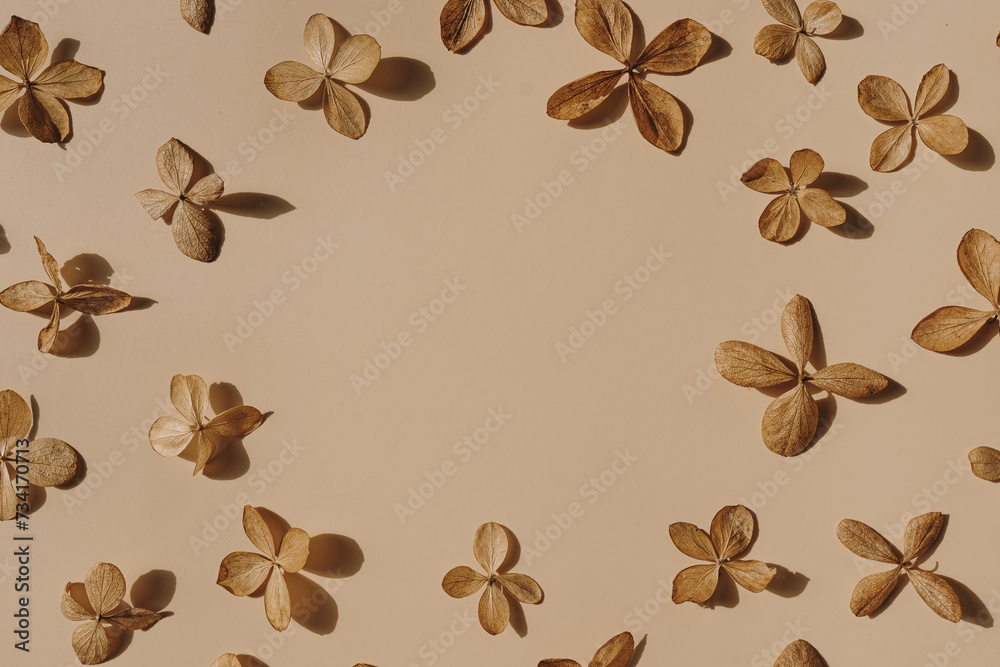 Obraz premium Frame of star flowers on tan beige background. Flat lay, overhead view