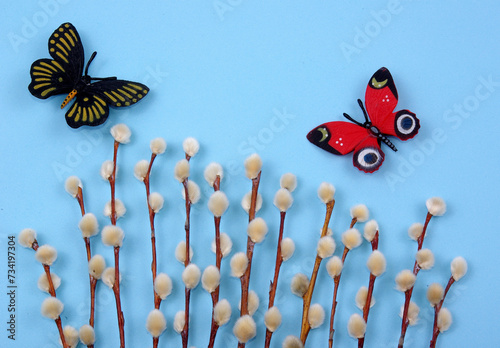 Easter decoration with pussywillow twigs with colorful butterflies on blue background for greeting card or poster © Agata
