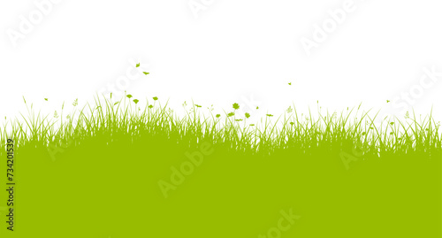 Meadow banner with grass, herbs, wild flowers, butterflies and bees. Grass border.