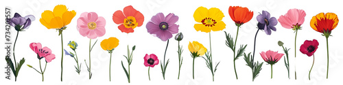 Colorful flowers isolated on transparent background, cute floral arrangement PNG