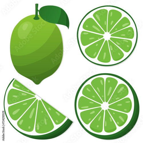 Set of four lime fruits - vector CMYK	 photo
