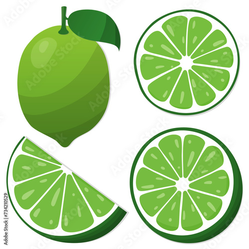 Set of four lime fruits - vector CMYK	