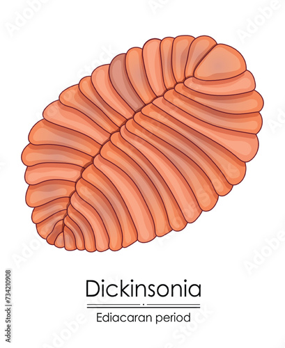 Dickinsonia, an Ediacaran period creature, colorful illustration on a white background, representing early life on Earth.