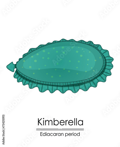Kimberella, an Ediacaran period creature, colorful illustration on a white background, representing early life on Earth.