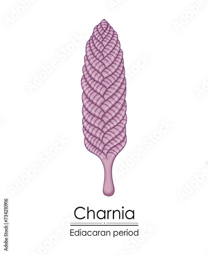 Charnia, an Ediacaran period creature, is vividly illustrated against a white background, representing early life on Earth.