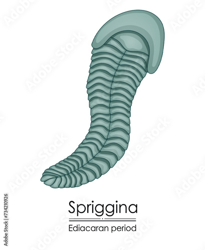 Spriggina, an Ediacaran period creature, colorful illustration on a white background, representing early life on Earth.