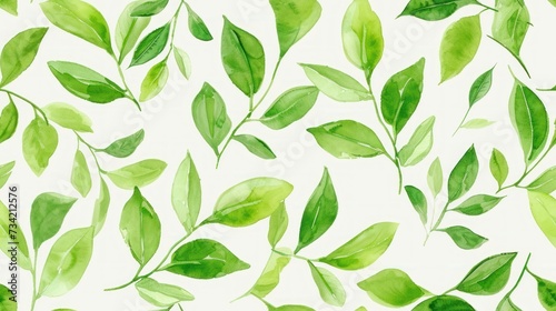  a watercolor painting of green leaves on a white background with green leaves on the left side of the image and green leaves on the right side of the image.