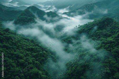 Aerial view of fog-covered rainforest nature wallpaper background
