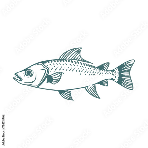 Fish vector illustration  © hasan