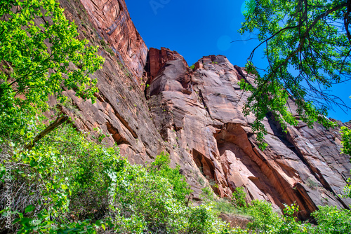 Red Mountains of Zion National Park on a summer day, Utah