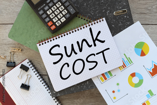 Sunk cost text on the page near the financial charts