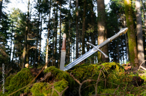 Schwert im Wald photo