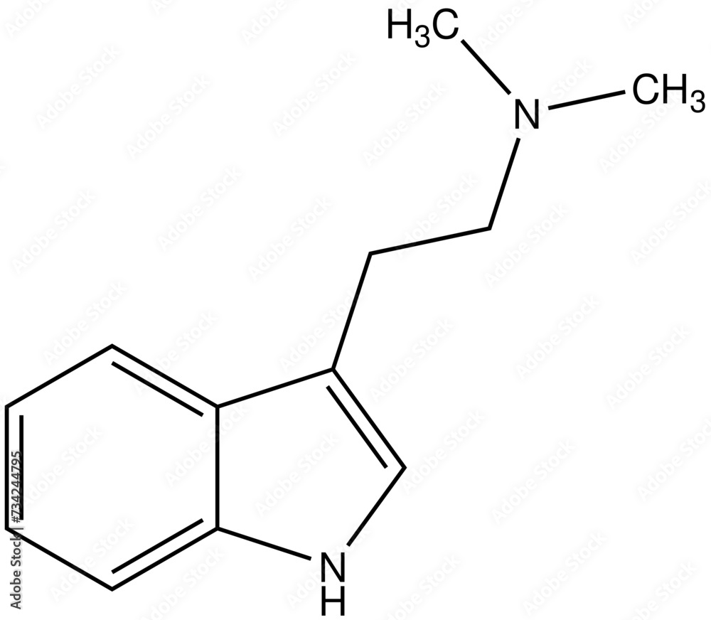 Dimethyltryptamin DMT Chemie Strukturformel Dimethyltryptamin DMT Chemie Strukturformel