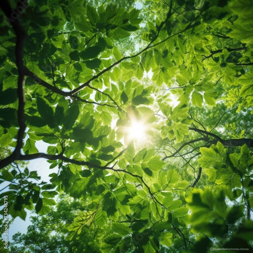 The sun shines through the leaves of a tree. Generative AI.