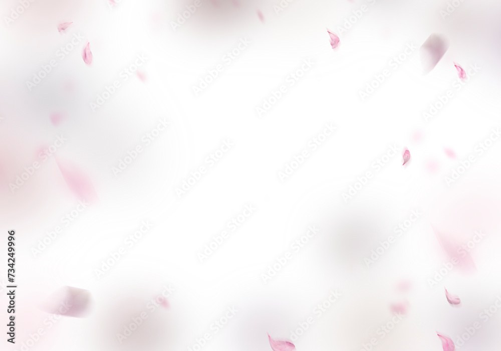 Floating pink rose petal isolated on on a transparent background png. Background concept for love greetings on valentines day and mothers day. Space for text	