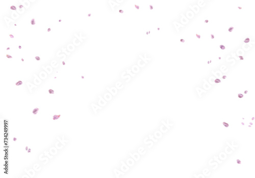 Floating pink rose petal isolated on on a transparent background png. Background concept for love greetings on valentines day and mothers day. Space for text 