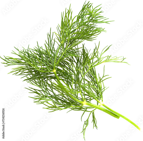 Foto LAYER-LAB_2805216344_LC