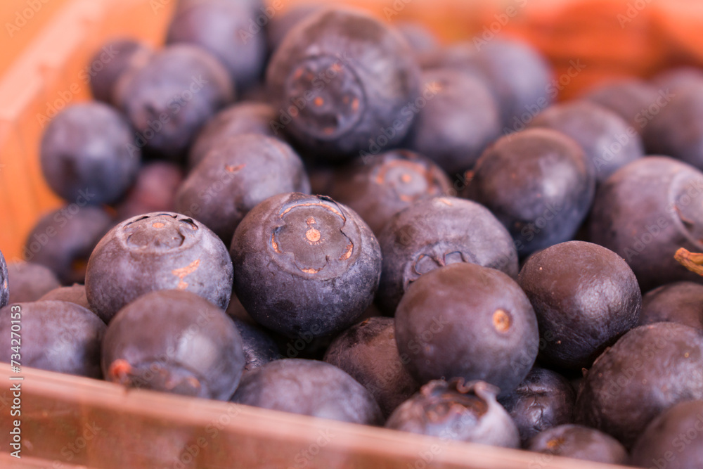 Fototapeta premium Blueberry antioxidant organic superfood