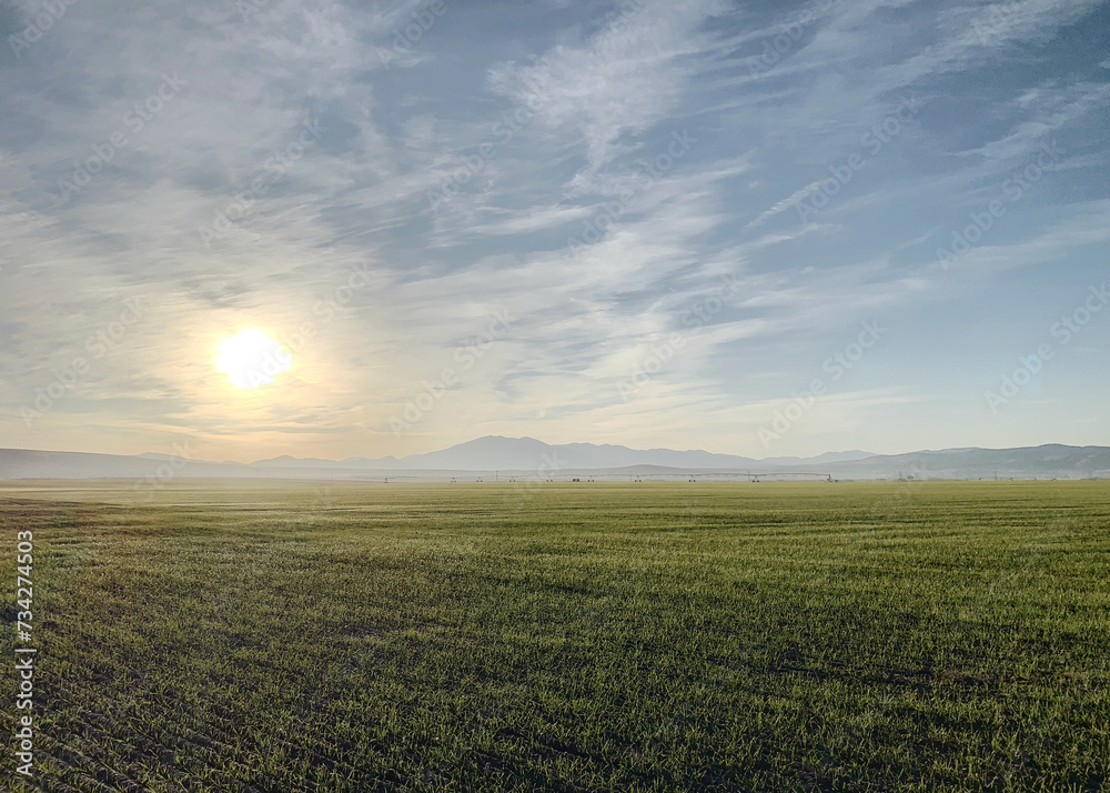 Sun rising in Eastern Idaho over a grain field