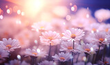 Daisy flower field under the morning light, panoramic view, generated by ai