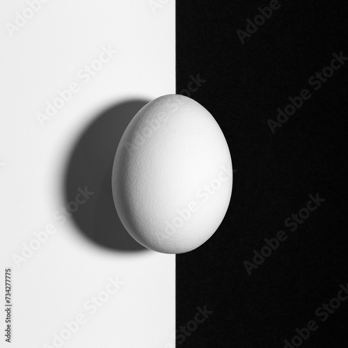 Black and white split screen with egg and shadow with copy space
