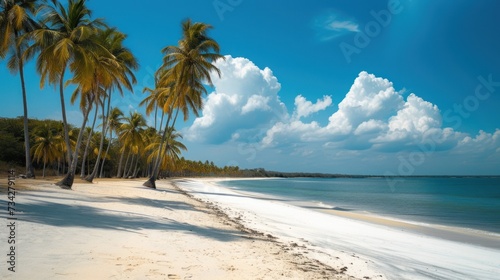 a sandy beach with palm trees on the shore and a blue sky with white clouds in the backgroud.