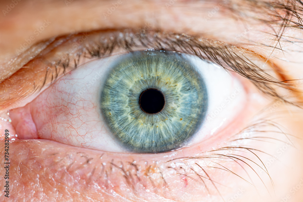 Fototapeta premium Male Blue-Green Colored Eye With Lashes. Pupil closed. Close Up. Structural Anatomy. Human Iris Macro Detail.