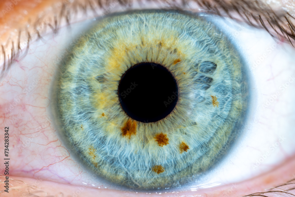 High Resolution Female Green-Blue Colored Eye with Brown Pigment Spots and Pupil Wide Open. Close Up. Structural Anatomy. Human Iris. Macro Detail.