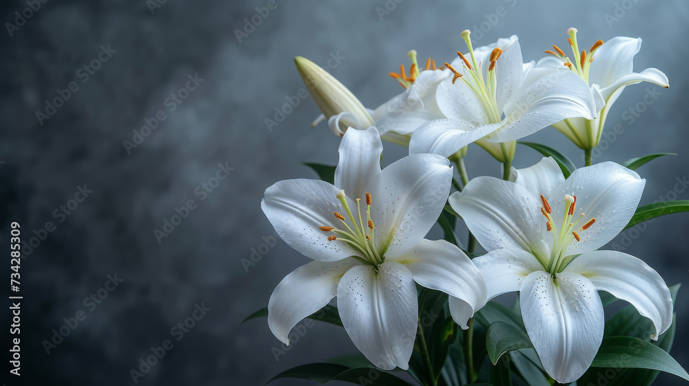 Naklejka premium Elegant White Lilies Bloom with Freshness on Textured Backdrop