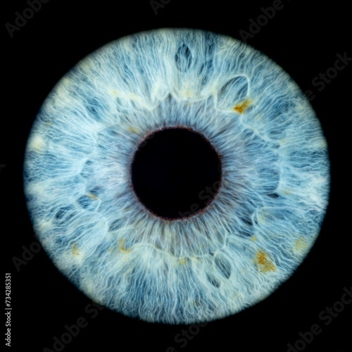 Macro photo of human eye on black background. Close-up of male blue-green colored eye. Structural Anatomy. Iris Detail. Filamentes and Pigments. Super Resolution.