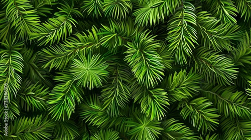 Beautiful green fir tree branches close up. Christmas and winter concept  close up of Christmas trees branches green texture background