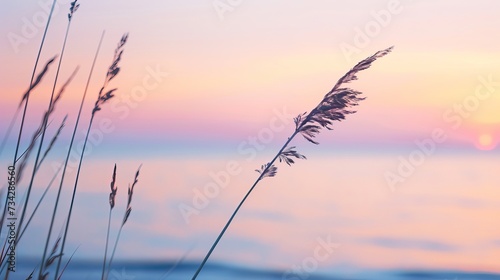 Close up of a grass stem near a calm sea at sunset with a beautiful watercolor background in soft hues  panorama landscape pink romantic graceful backgrounds banner  copy space