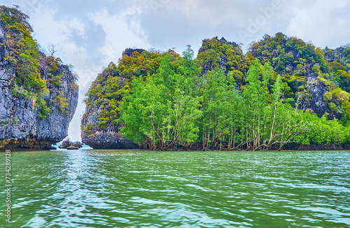 Ko Thalu Ok Island with mangroves  Phang Nga Bay  Thailand