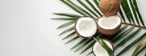 A photo featuring fresh coconuts, both whole and cut in half, along with a palm leaf, set against a white background.