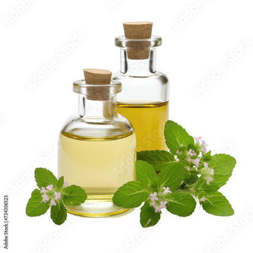 fresh raw organic catnip oil in glass bowl png isolated on white background with clipping path. natural organic dripping serum herbal medicine rich of vitamins concept. selective focus