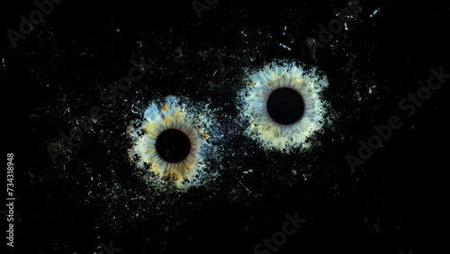 Fototapeta Naklejka Na Ścianę i Meble -  Galaxy explosion effect of human eyes colliding on black background. Close-up of blue and green colored iris with yellow-orange-brown pigments. Structural Anatomy. Iris Detail. Eye Catcher.