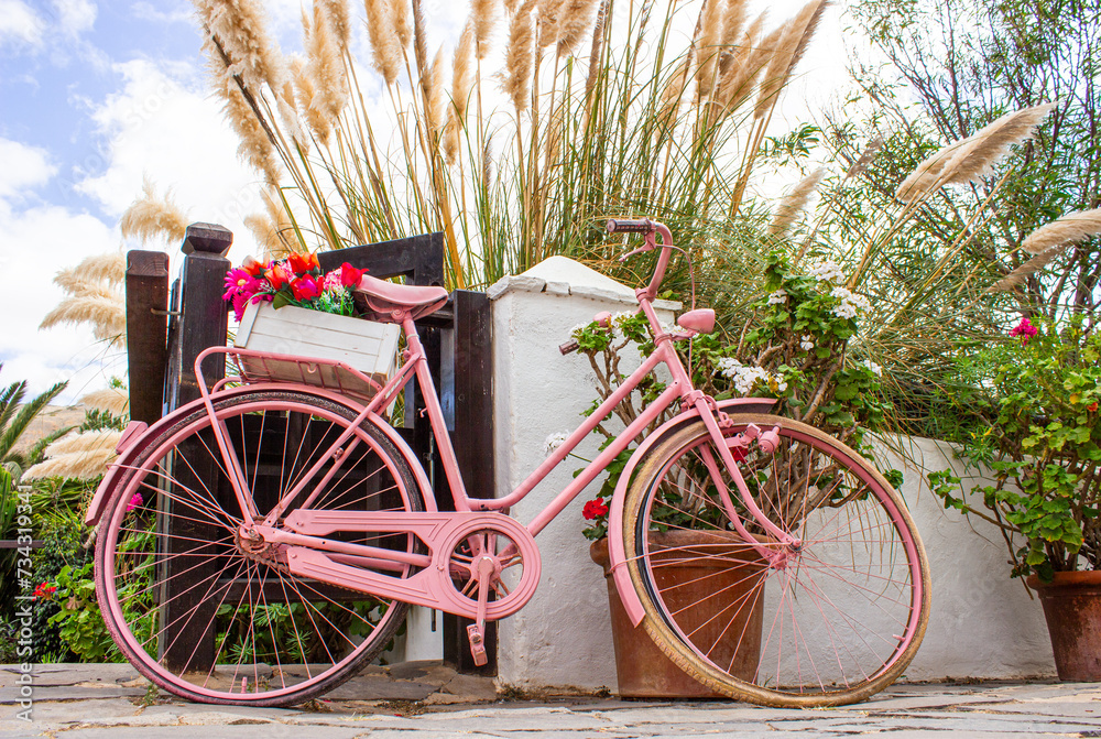Rosa Fahrrad mit Blumenkorb vor mediterranem Hintergrund auf Fuerteventura