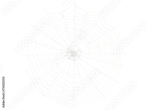 a spider web with many dots