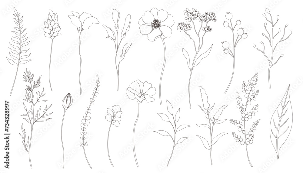 © Mimi Art Smile - Spring flower and leaf line art set. Elegant botanical flowers vector illustration. © Mimi Art Smile - Spring flower and leaf line art set. Elegant botanical flowers vector illustration.