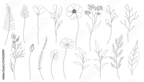 Spring flower and leaf line art set. Elegant botanical flowers vector illustration.