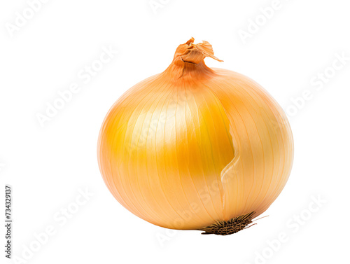 a close up of a yellow onion