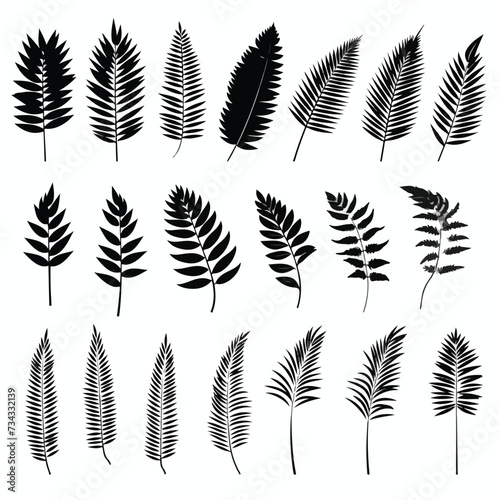 Set of palm leaves silhouettes isolated