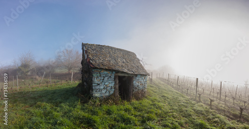 Vertougit (Corrèze, Nouvelle aquitaine, France) - Vue panoramique du vignoble de la vallée de la Vézère en hiver sous la brume avec une cabane de vigneron bleue pittoresque