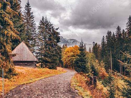 Chocholowska Valley in autumn - Tatra Mountains